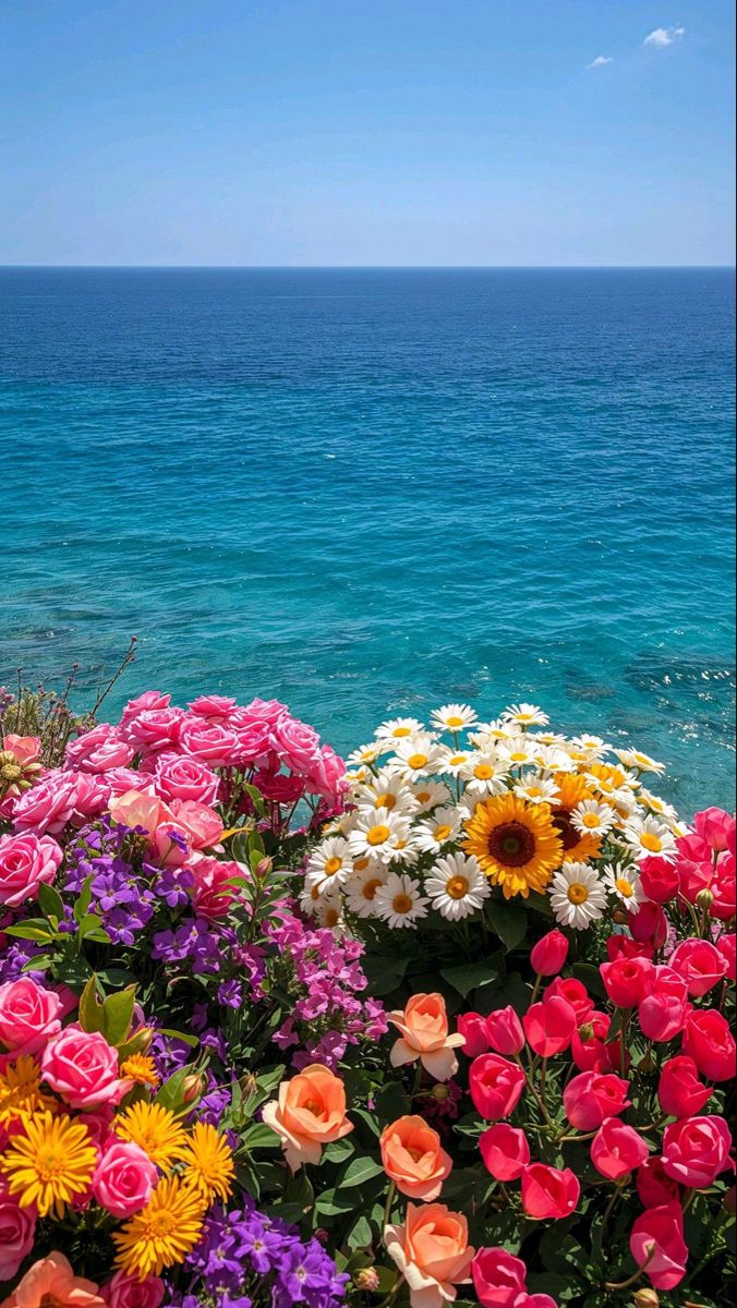Mediterranean Bloom Box Flowers