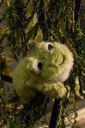 The Little Frog
