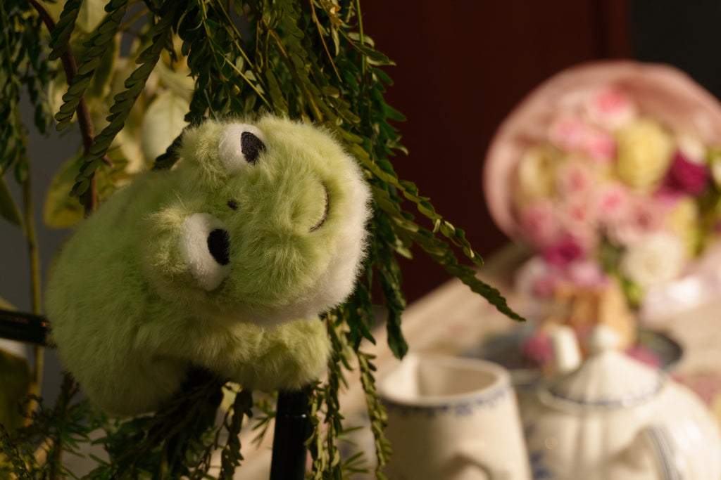 The Little Frog