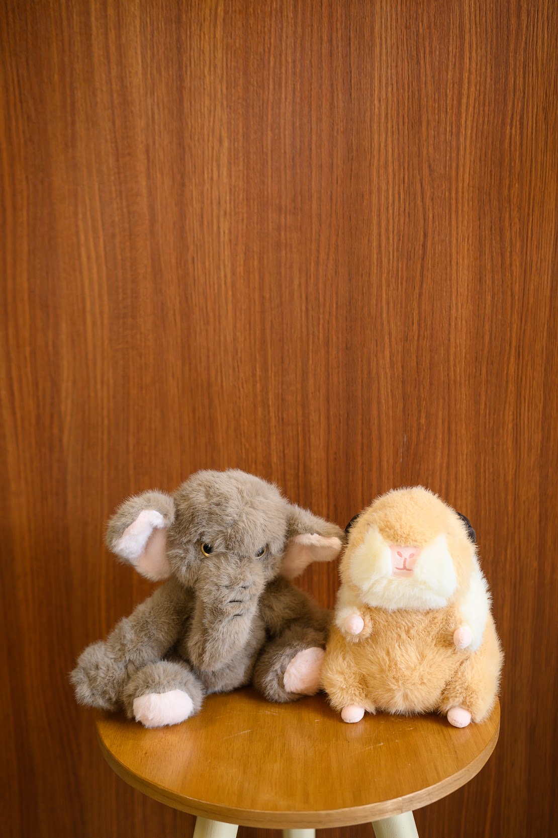 Peluche