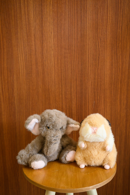 Peluche