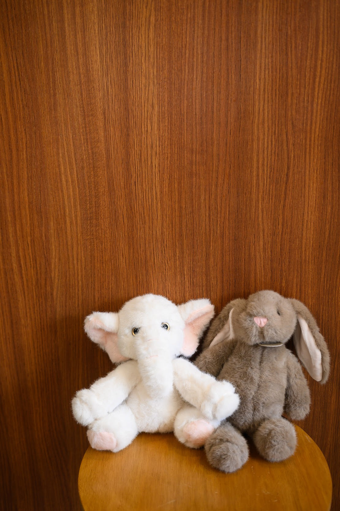 Peluche